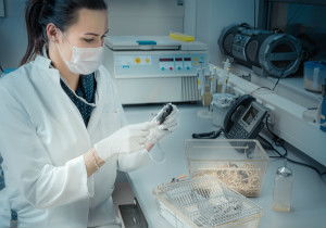 游戲軟件設(shè)計(jì)制作的技術(shù)服務(wù)采購(gòu)指南